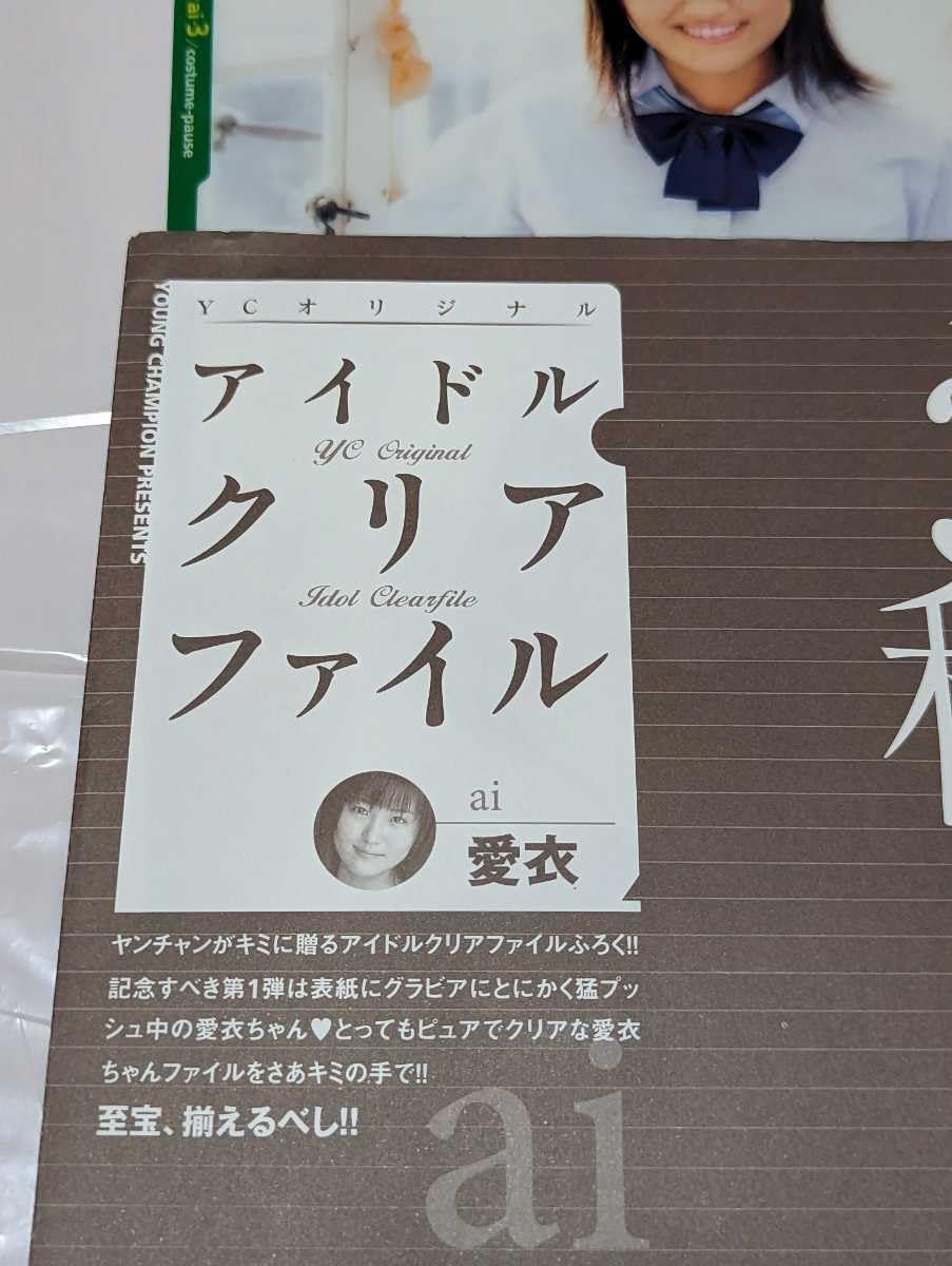 YOUNG CHAMPION 付録 アイドルクリアファイル 38冊 YOUNG CHAMPION 付録 アイドルクリアファイル 38冊